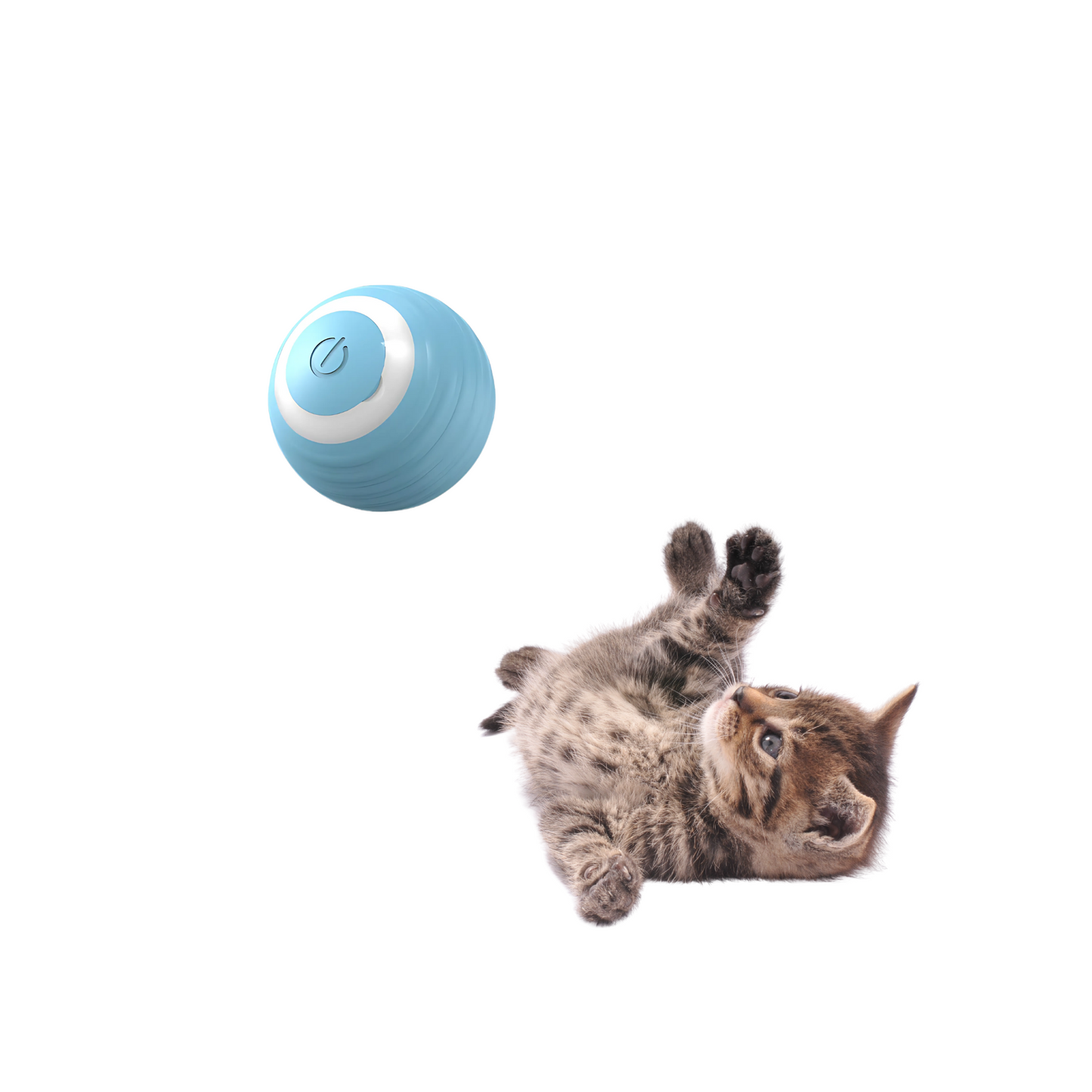 CatSpin